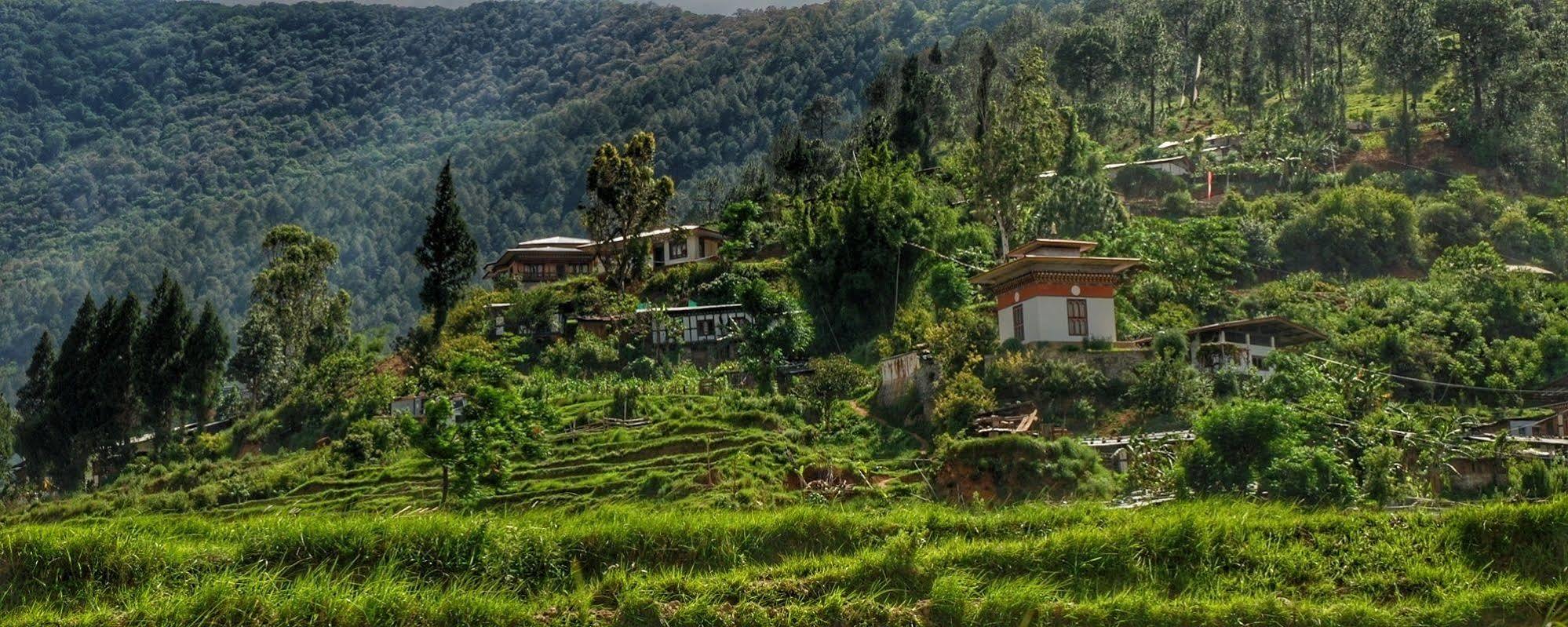 Drubchu Resort Punakha Exterior photo